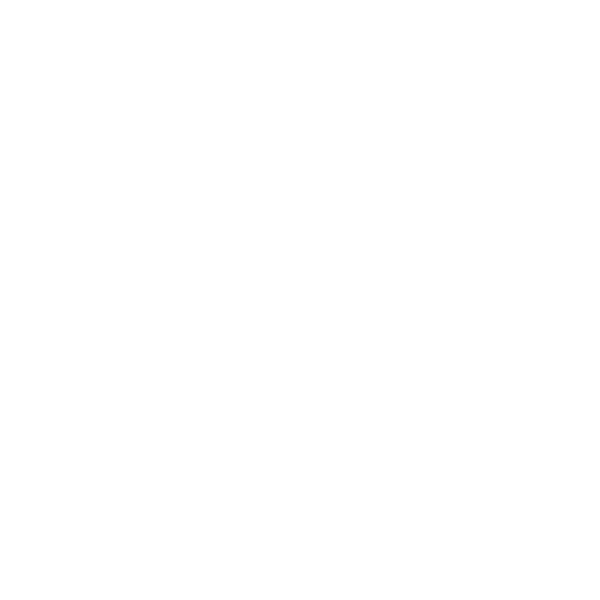 Zenit APS